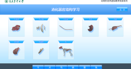 数字犬解剖虚拟仿真子系统
