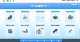 数字牛解剖虚拟仿真子系统
